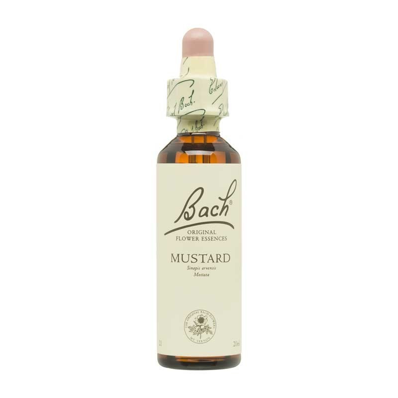 Flor nº 21 Mustard 20ml Bach